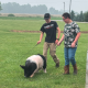Kayden practicing with a pig at Isler's Farm before the event.